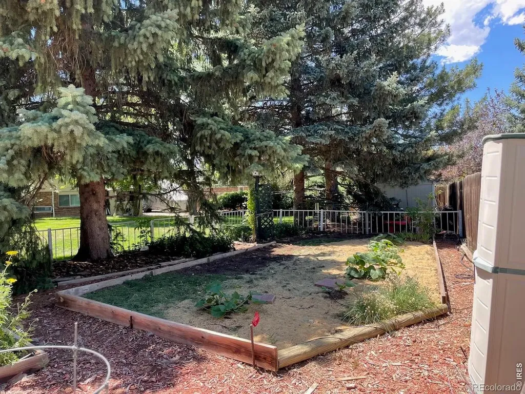 605 Jack Pine Place Loveland CO 80538