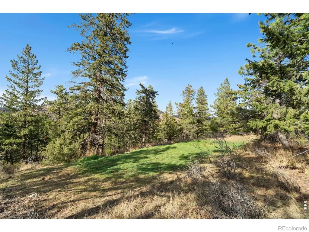 801 Montcalm Drive Livermore CO 80536