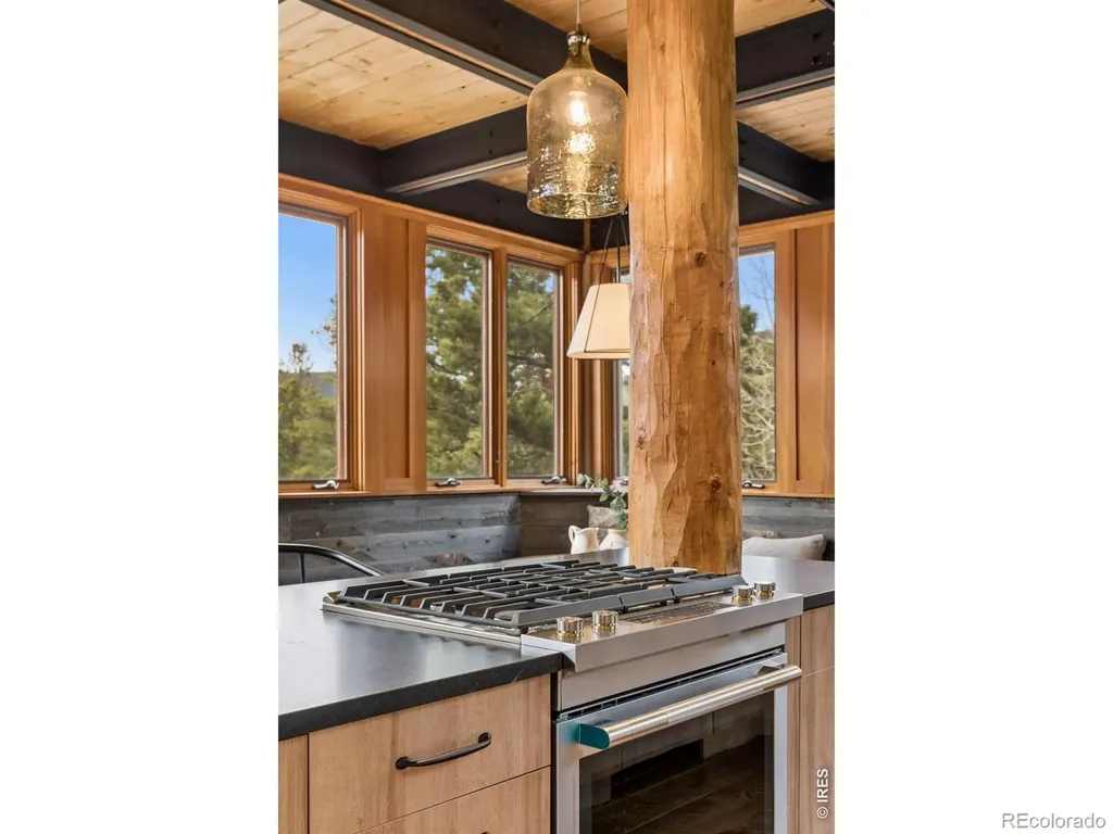 96 Bristlecone Way Black Hawk CO 80422