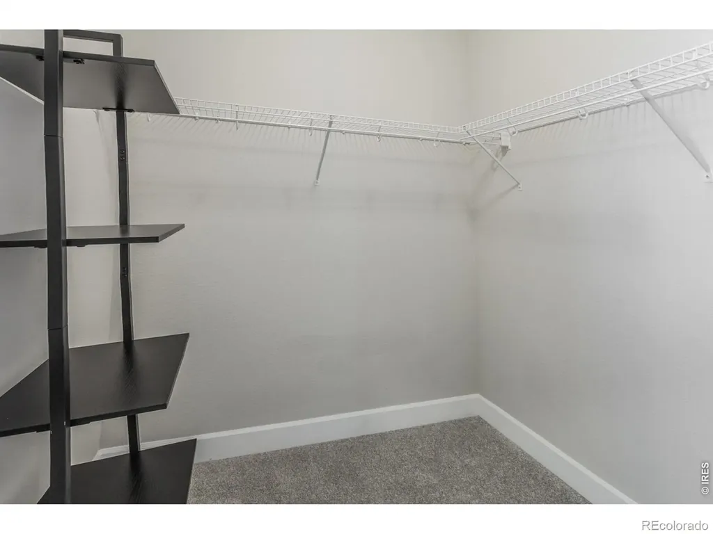 857 Birdwhistle Lane Fort Collins CO 80524