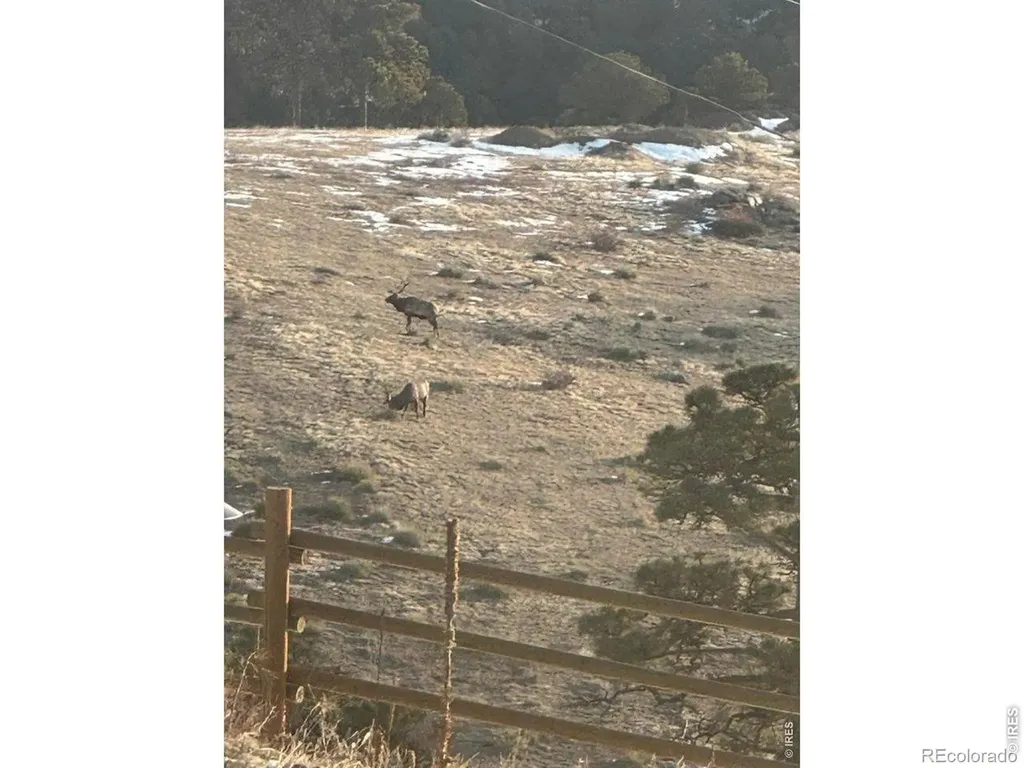 27033 Thea Gulch Road Golden CO 80403