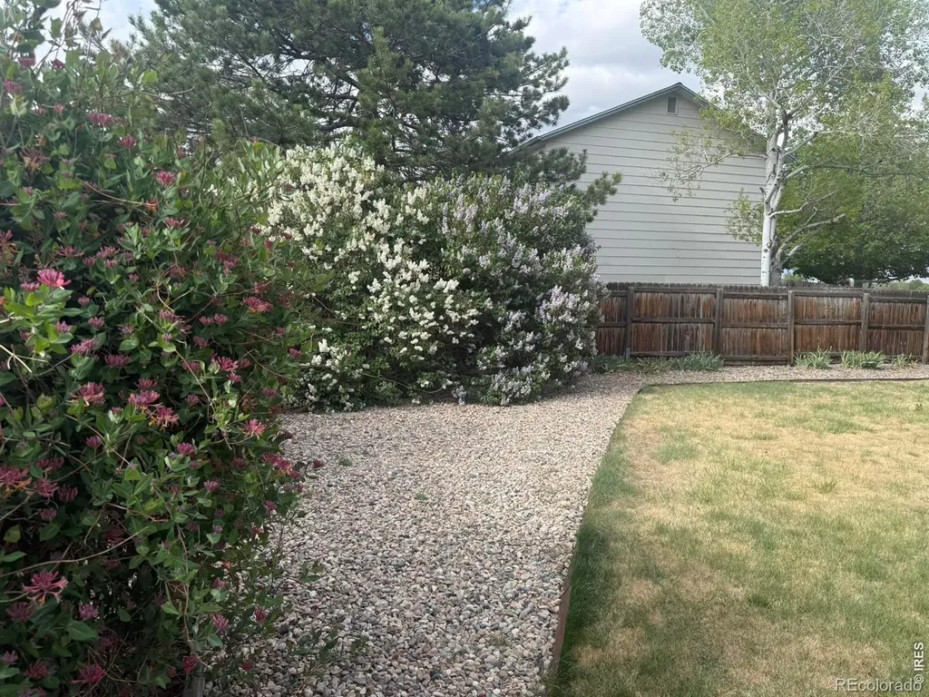1044 Blue Spruce Drive Loveland CO 80538