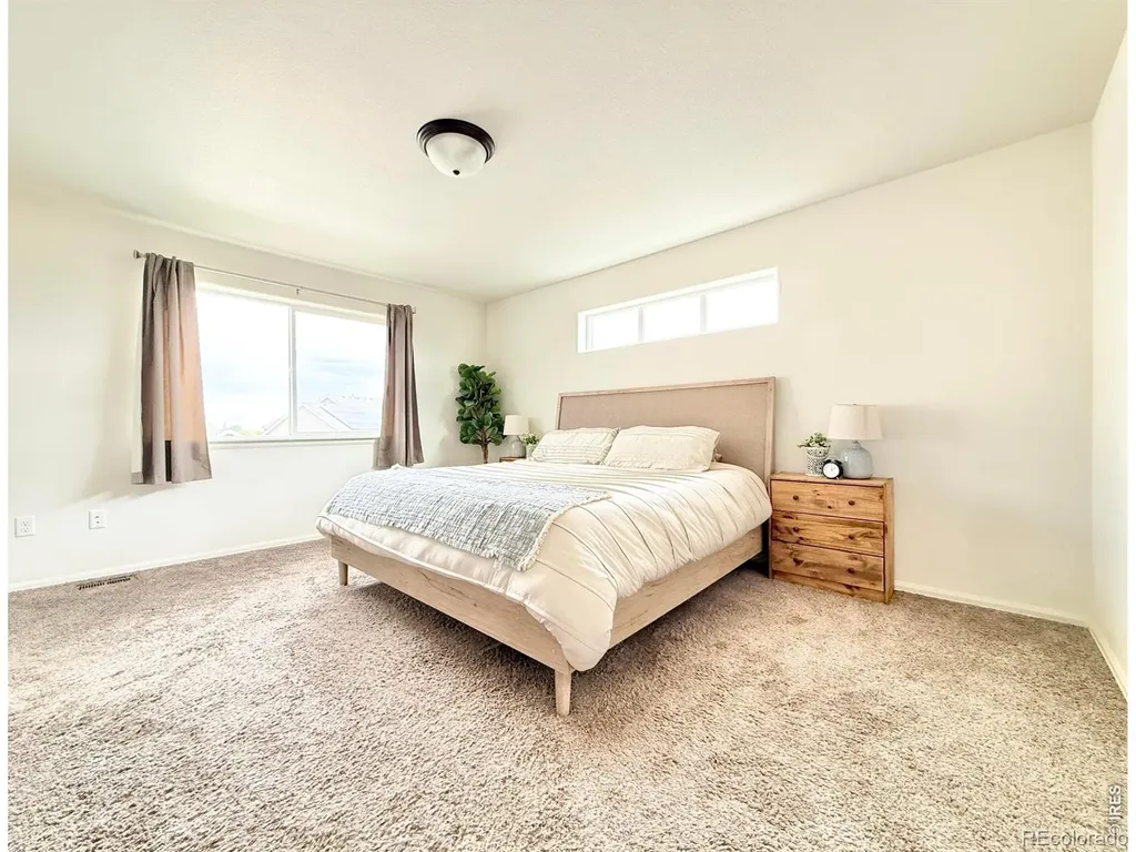 1006 Muntjac Street Severance CO 80550