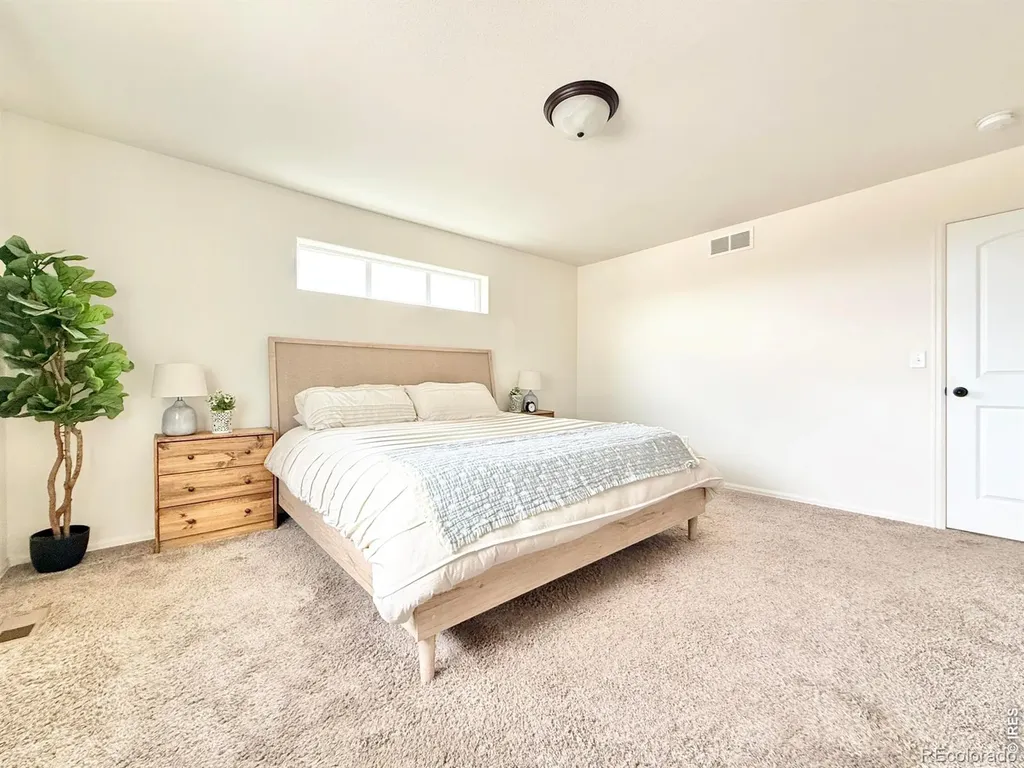 1006 Muntjac Street Severance CO 80550