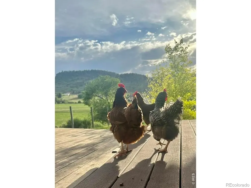 7239 W County Road 24 Loveland CO 80538