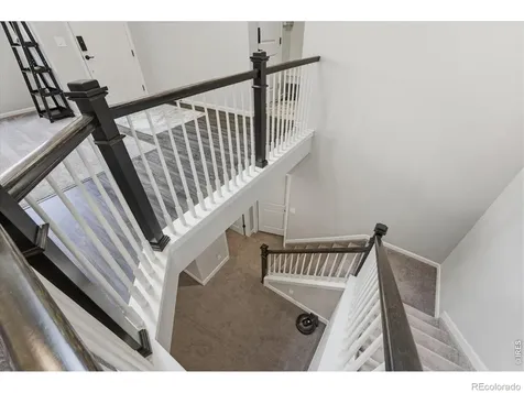 5487 Chantry Drive Windsor CO 80550
