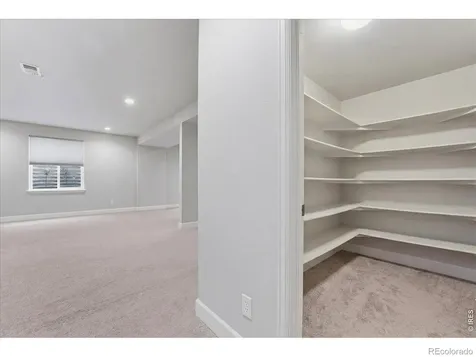 5487 Chantry Drive Windsor CO 80550