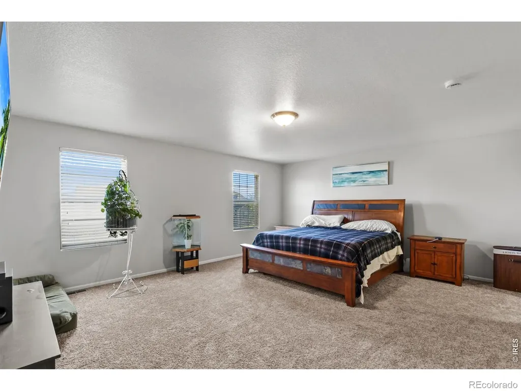3690 Cornflower Street Wellington CO 80549
