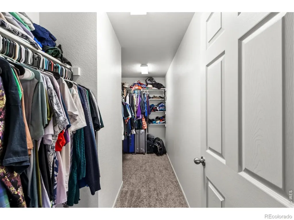 3690 Cornflower Street Wellington CO 80549