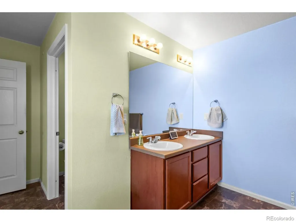 3690 Cornflower Street Wellington CO 80549