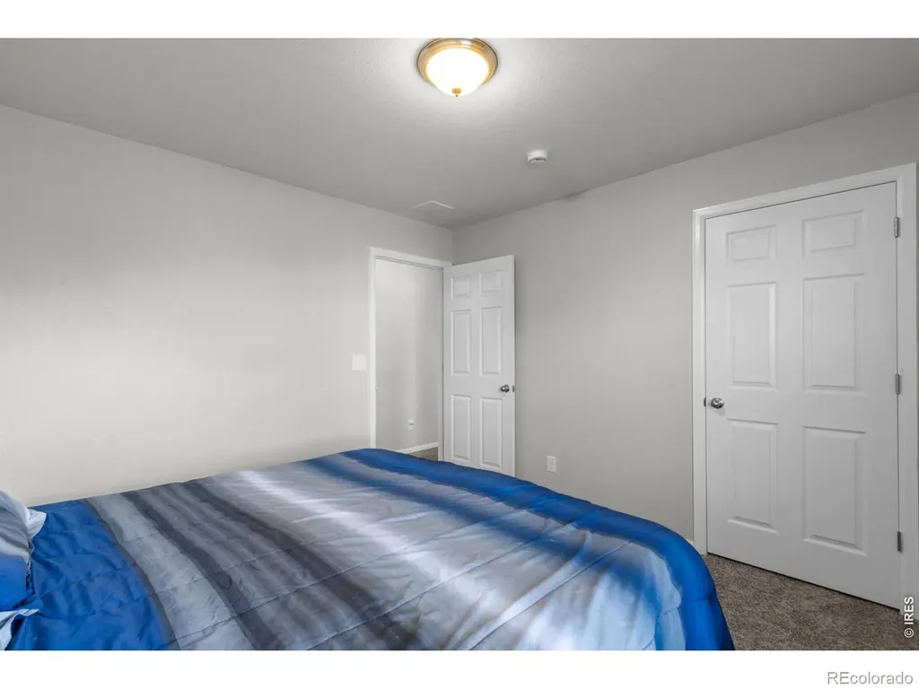 3690 Cornflower Street Wellington CO 80549