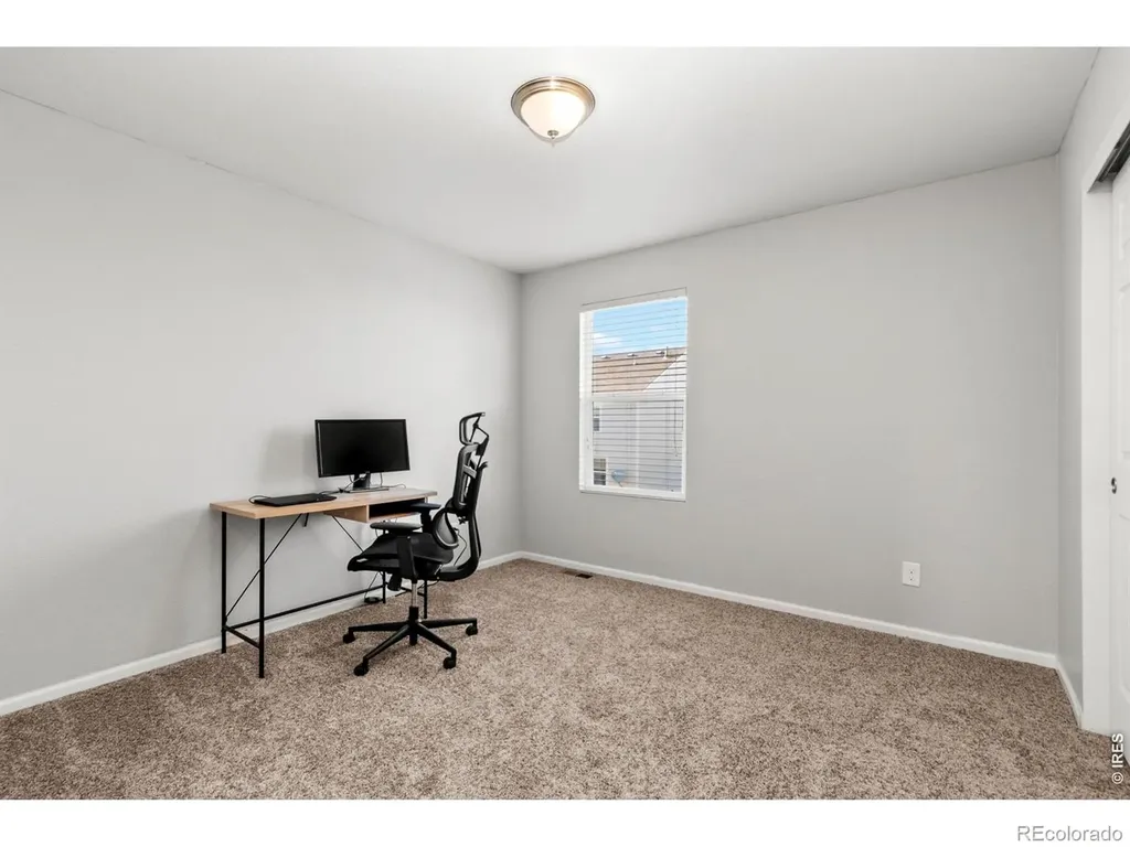 3690 Cornflower Street Wellington CO 80549
