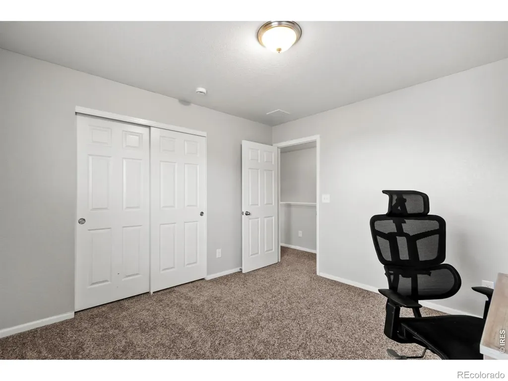 3690 Cornflower Street Wellington CO 80549