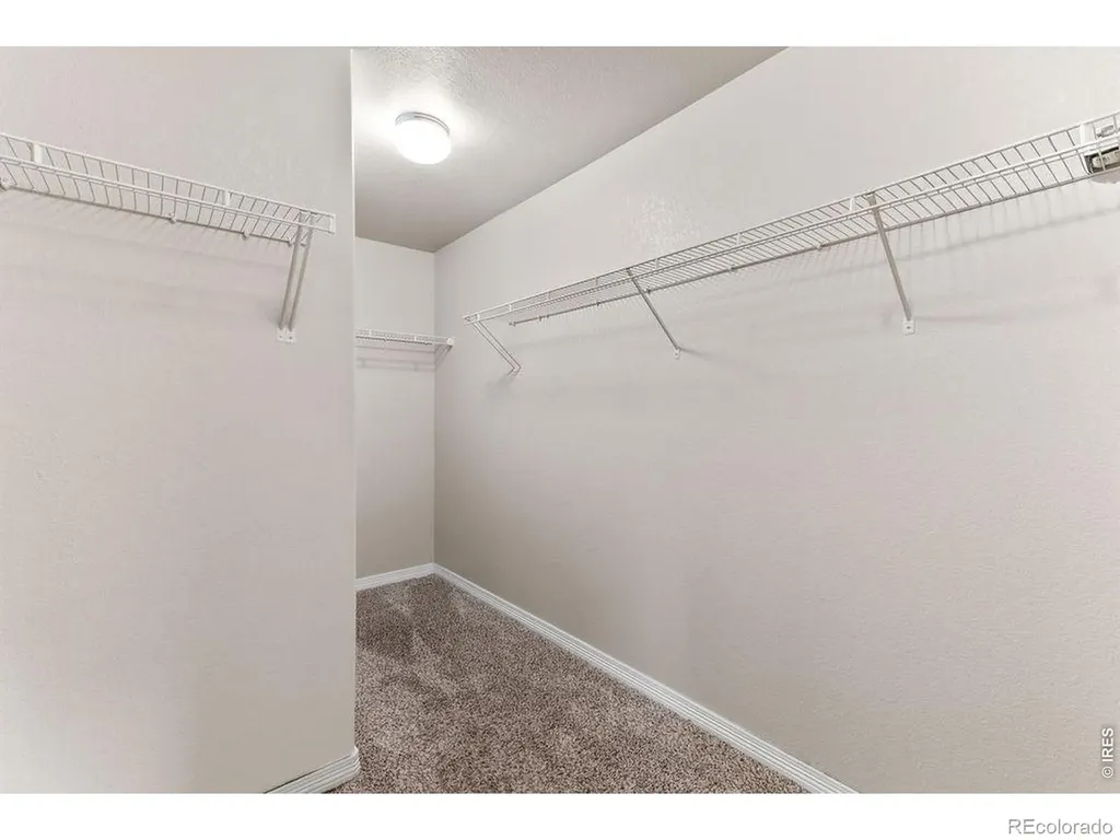 896 Antila Avenue Loveland CO 80537