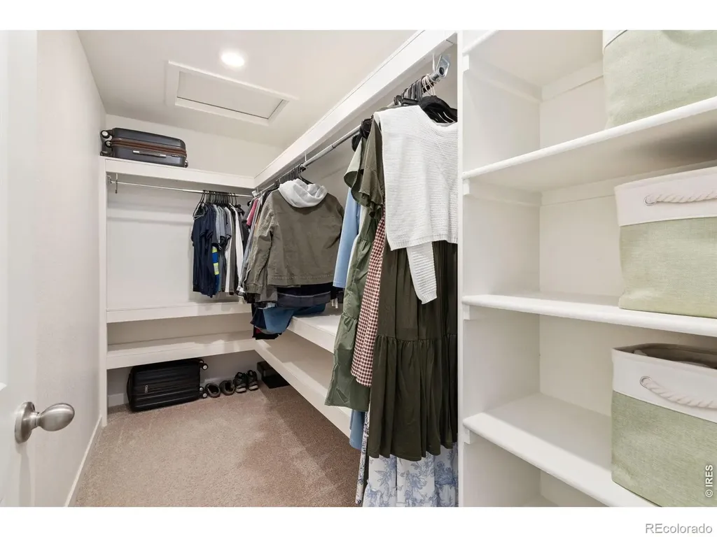 3758 Catmint Street Wellington CO 80549