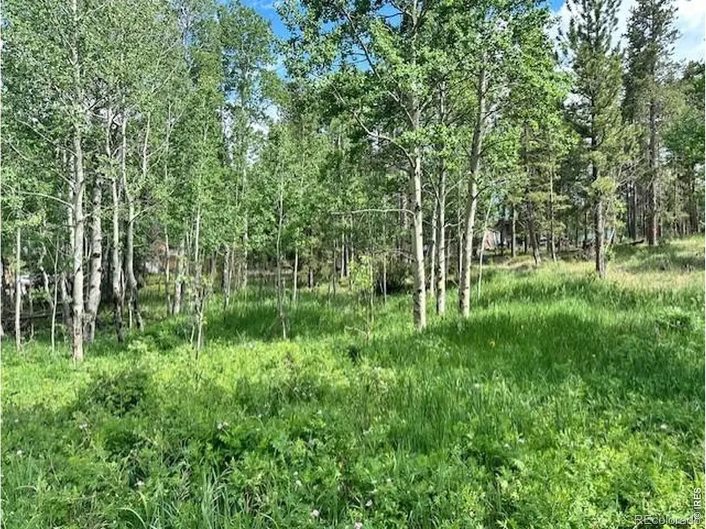 293 Aspen Circle Black Hawk CO 80422