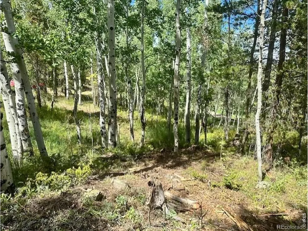 293 Aspen Circle Black Hawk CO 80422