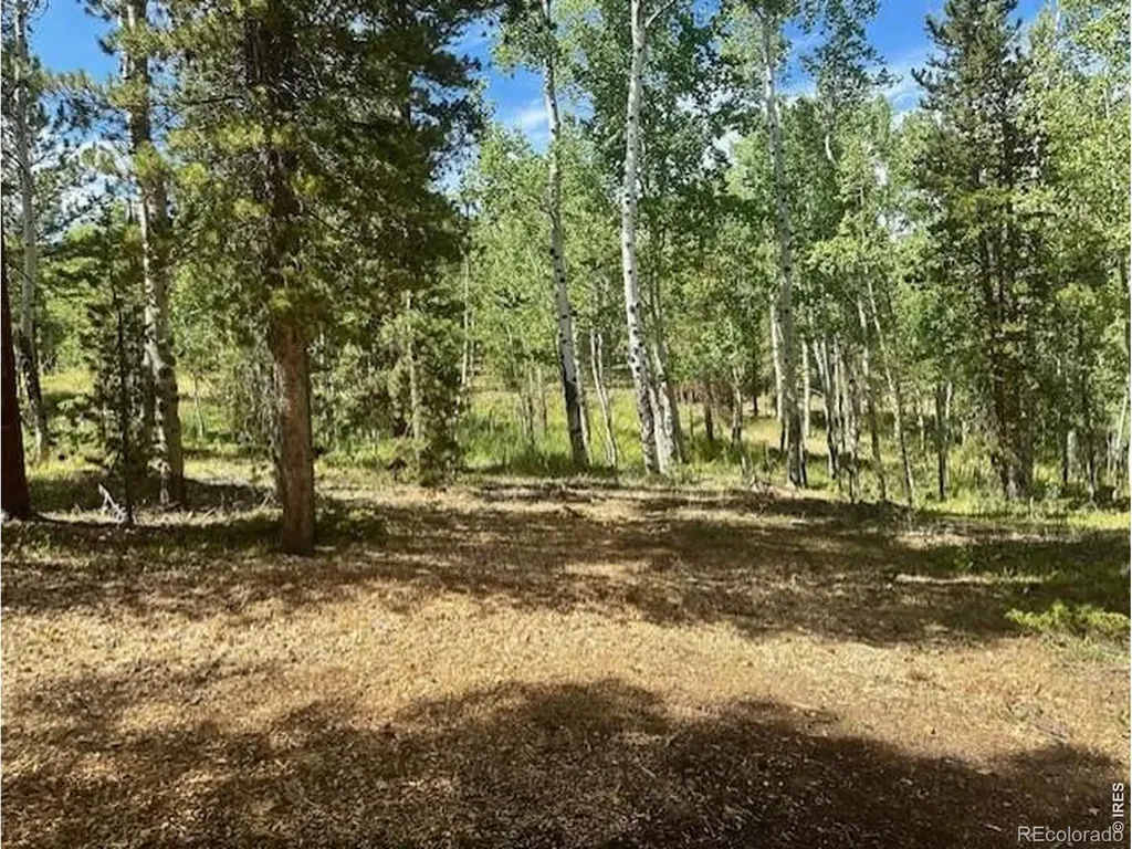 293 Aspen Circle Black Hawk CO 80422