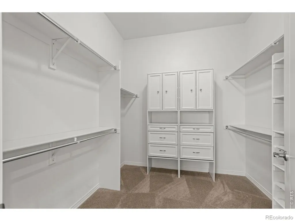 4425 Angelina Circle Longmont CO 80503
