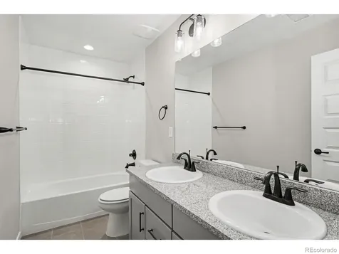 2124 Glean Court Windsor CO 80550