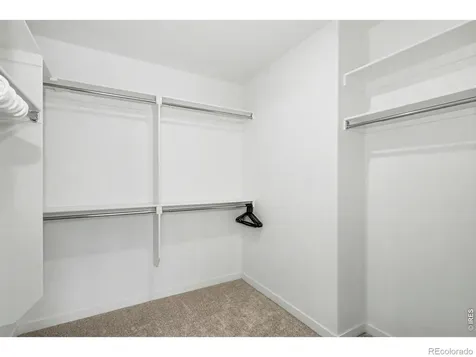 2124 Glean Court Windsor CO 80550