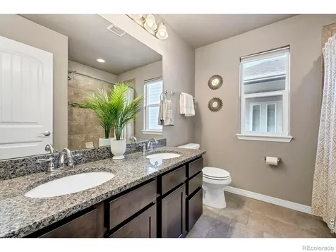 5225 Carmon Drive Windsor CO 80550