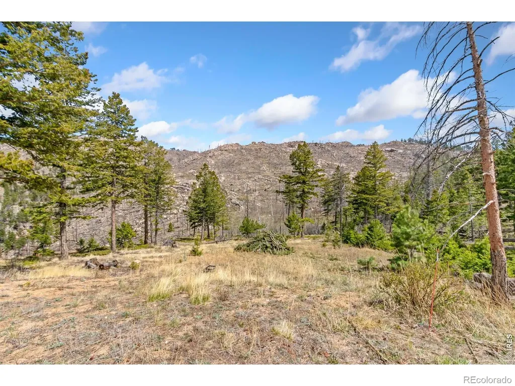 520 Isaac Lane Bellvue CO 80512