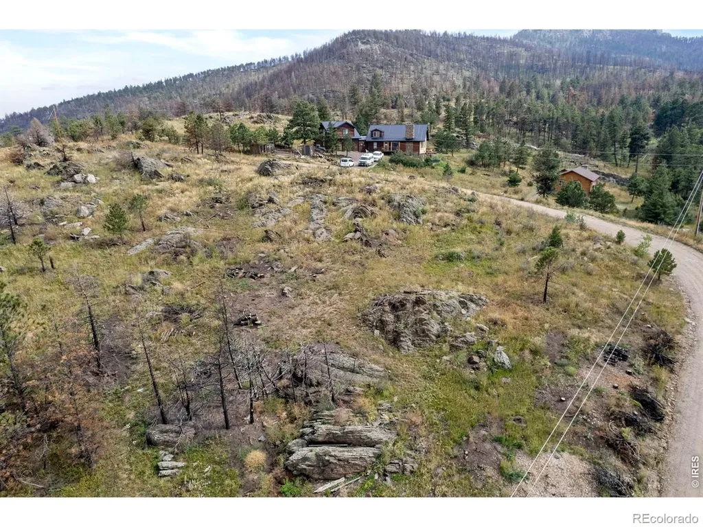 981 Palisade Mountain Drive Drake CO 80515