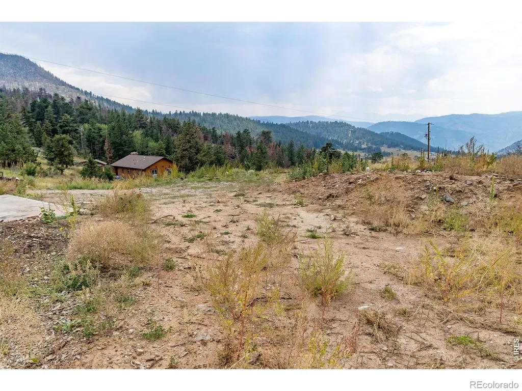 981 Palisade Mountain Drive Drake CO 80515