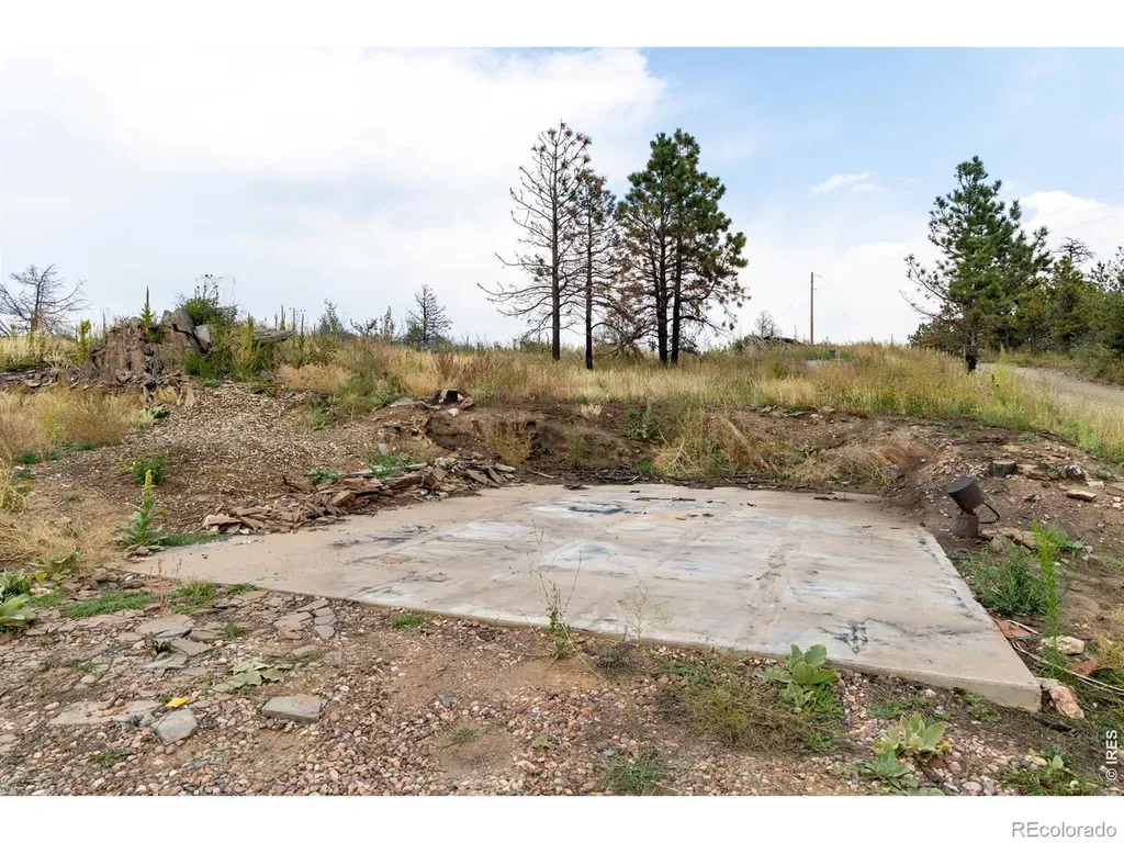 981 Palisade Mountain Drive Drake CO 80515
