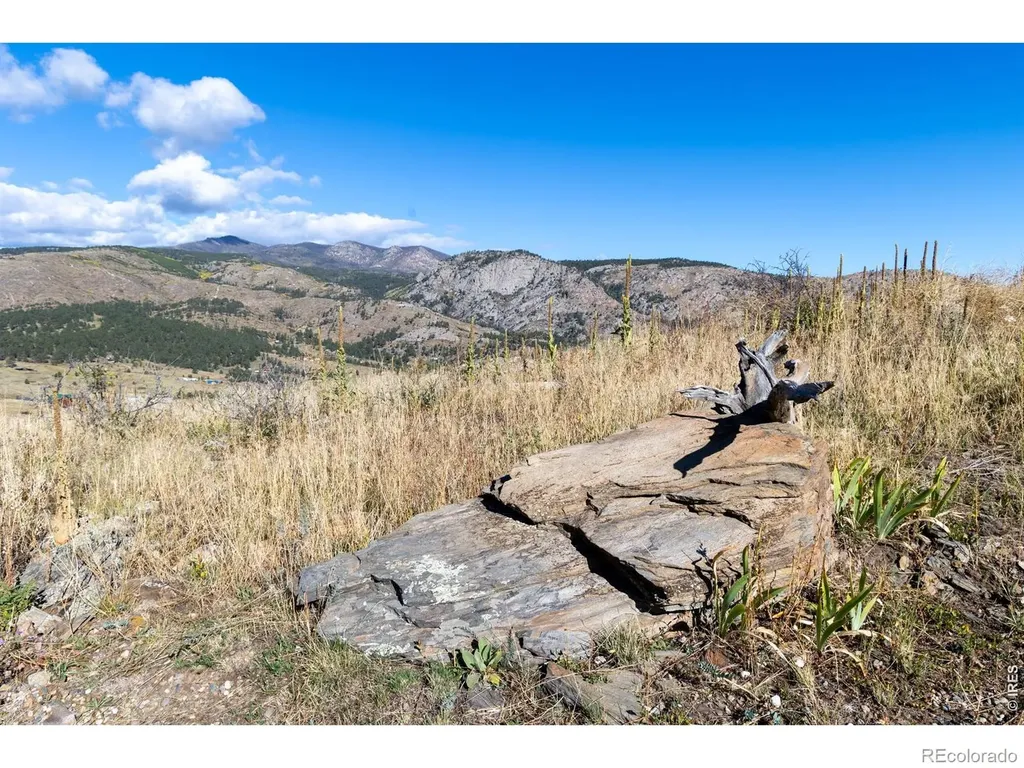 981 Palisade Mountain Drive Drake CO 80515