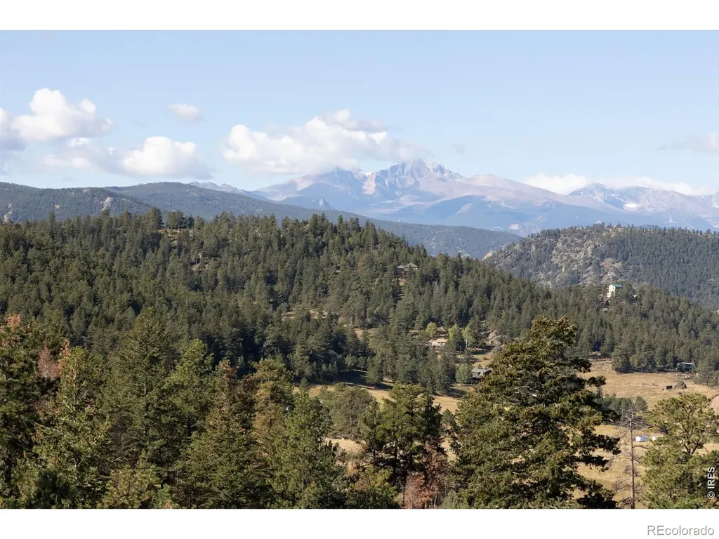 981 Palisade Mountain Drive Drake CO 80515