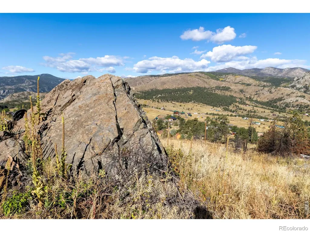 981 Palisade Mountain Drive Drake CO 80515