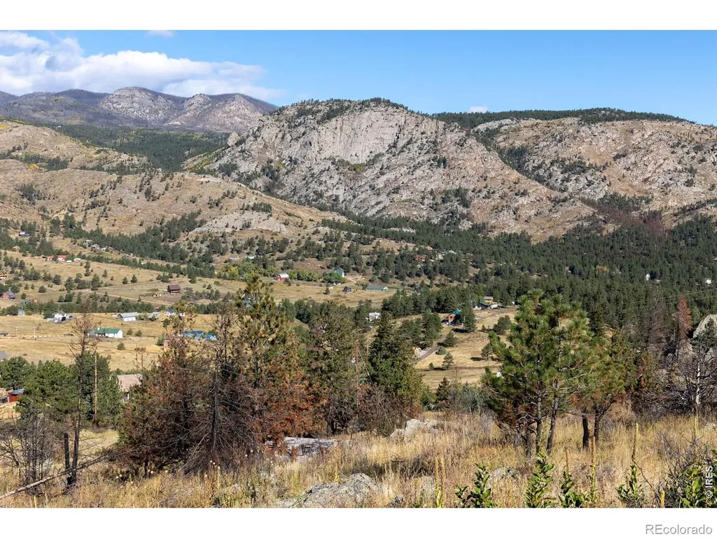 981 Palisade Mountain Drive Drake CO 80515
