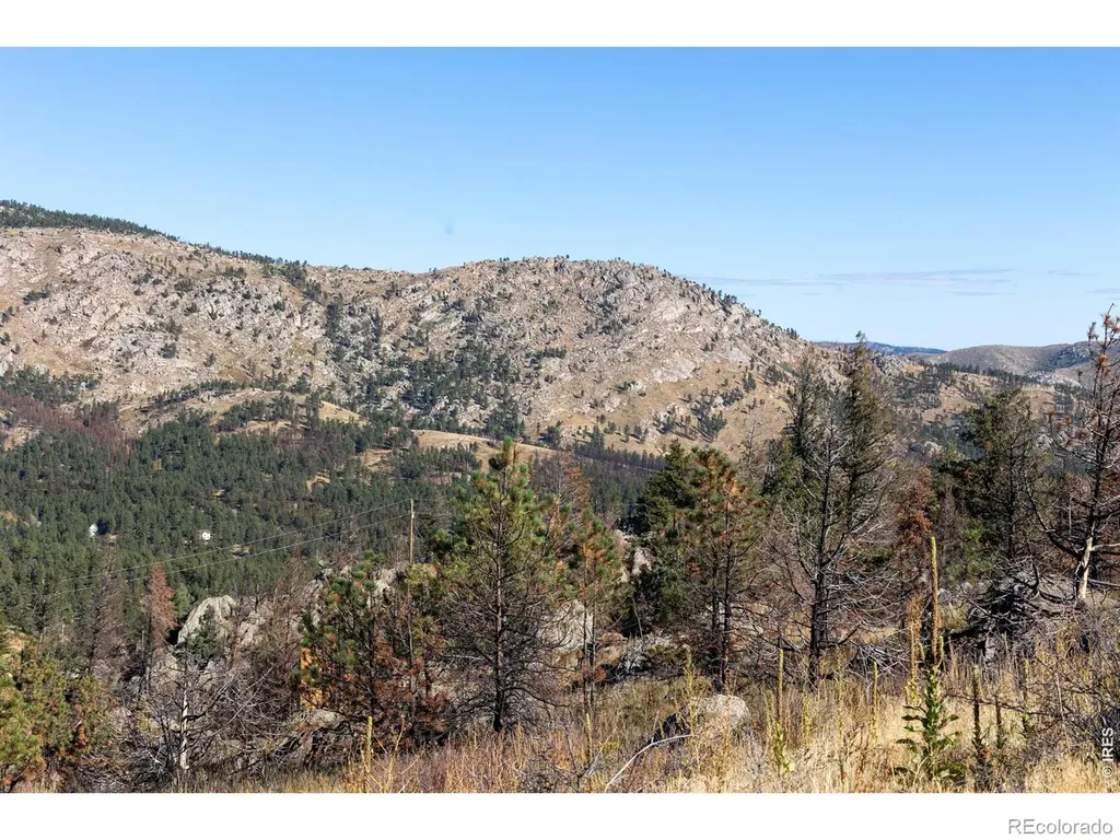 981 Palisade Mountain Drive Drake CO 80515