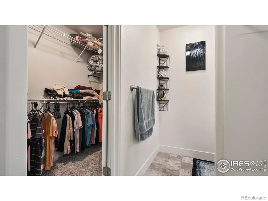 2304 Sublime Drive Windsor CO 80550