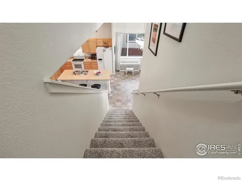 2304 Sublime Drive Windsor CO 80550