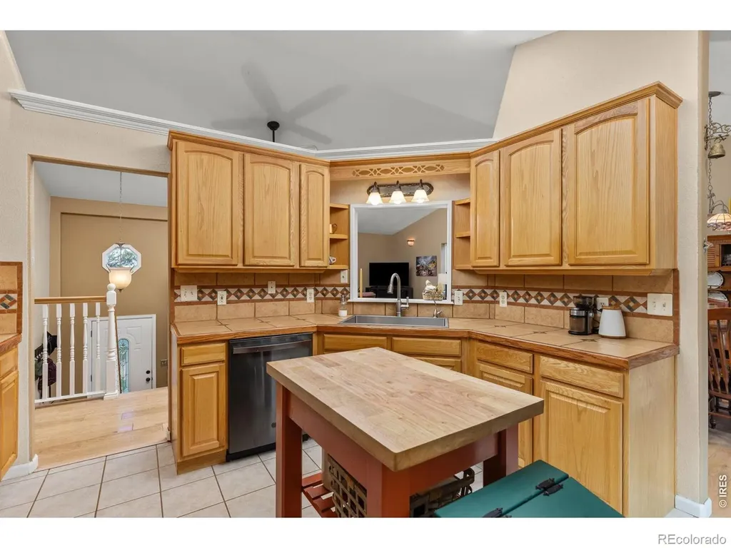 798 S Dory Lakes Drive Black Hawk CO 80422