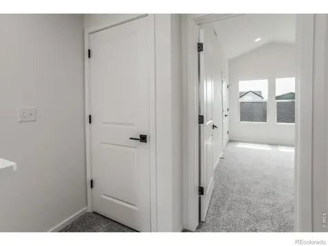 945 Trumpet Lane Windsor CO 80550