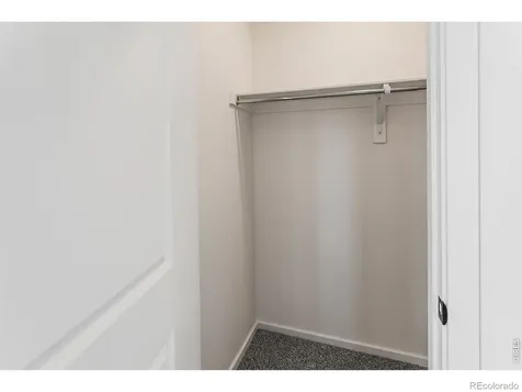 945 Trumpet Lane Windsor CO 80550