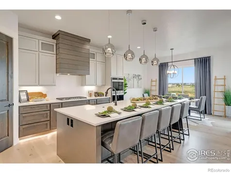 3662 N Buchanan Court Aurora CO 80019