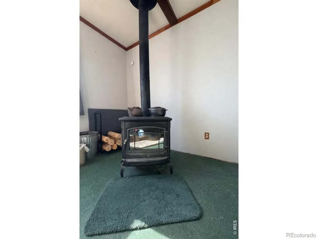 170 Logan Street Walden CO 80480