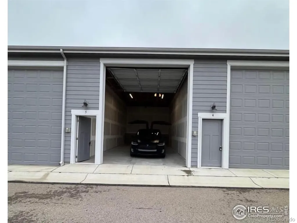 288 E Chestnut Street Windsor CO 80550