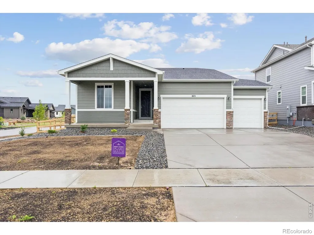 803 Mesic Lane Windsor CO 80550