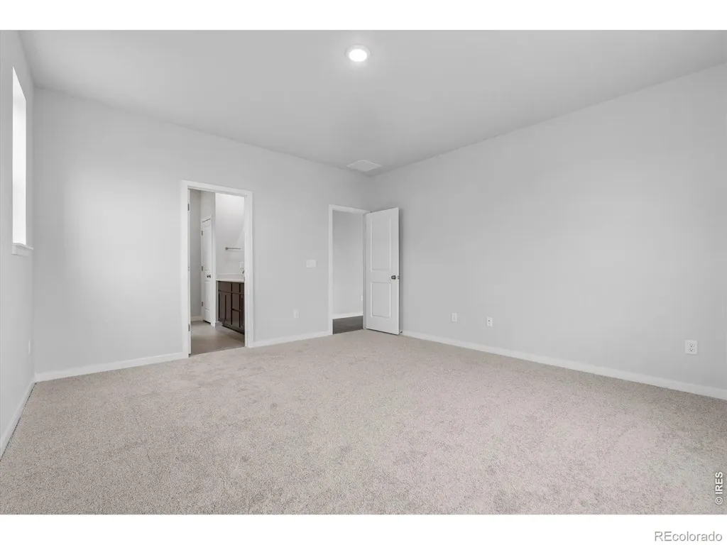803 Mesic Lane Windsor CO 80550