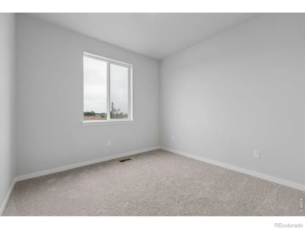 803 Mesic Lane Windsor CO 80550