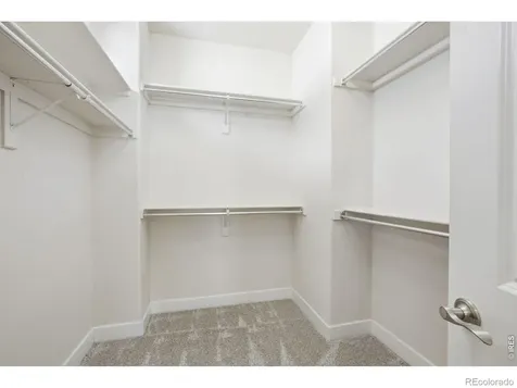 2078 Vineyard Drive Windsor CO 80550