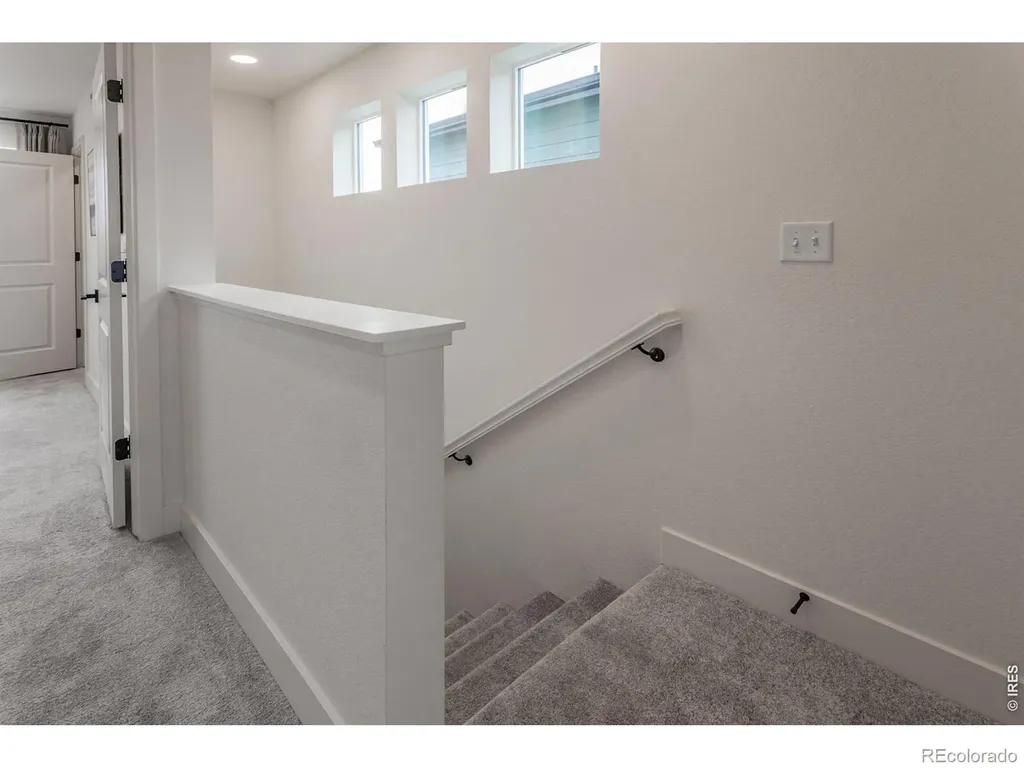 937 Trumpet Lane Windsor CO 80550