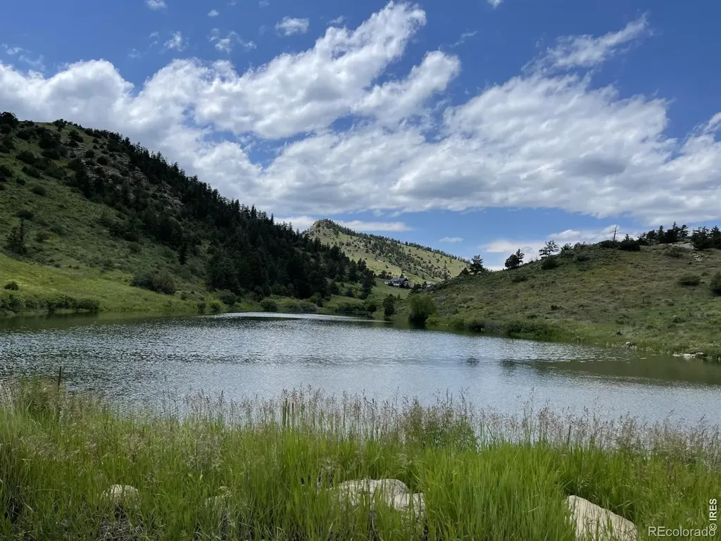 64 Bobcat Mountain Court Livermore CO 80536