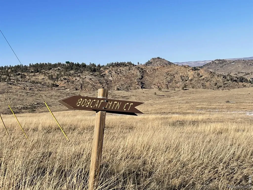 64 Bobcat Mountain Court Livermore CO 80536